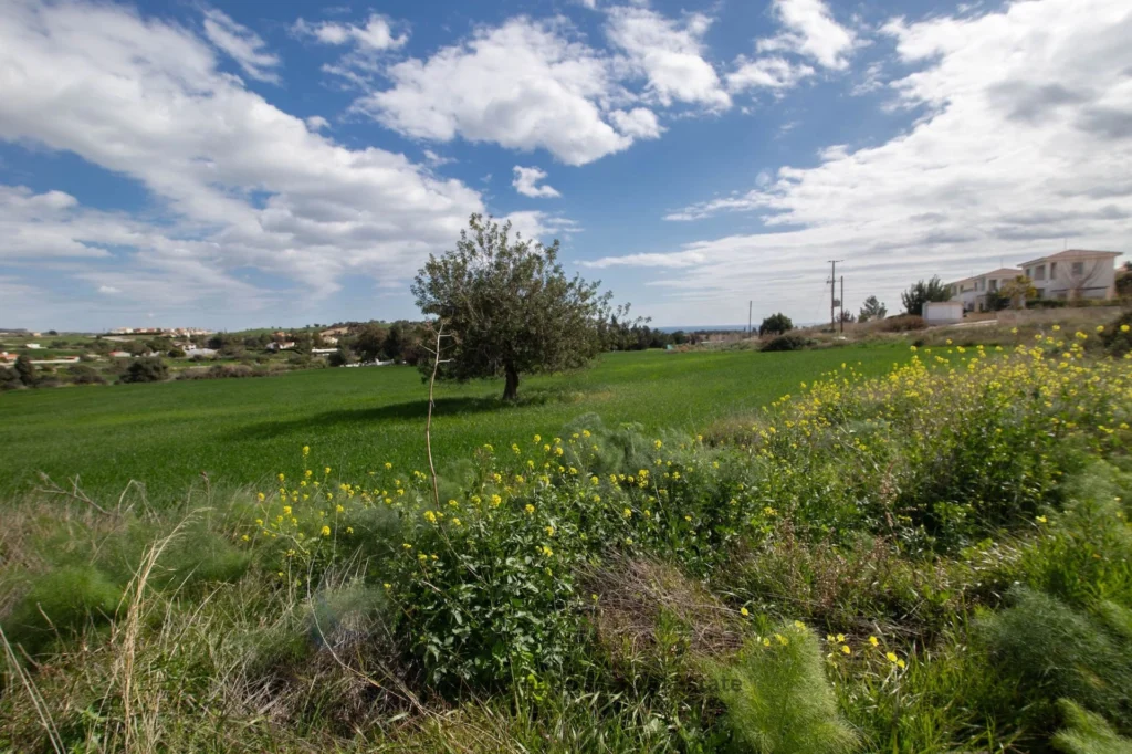 10,034m² Plot for Sale in Maroni, Larnaca District