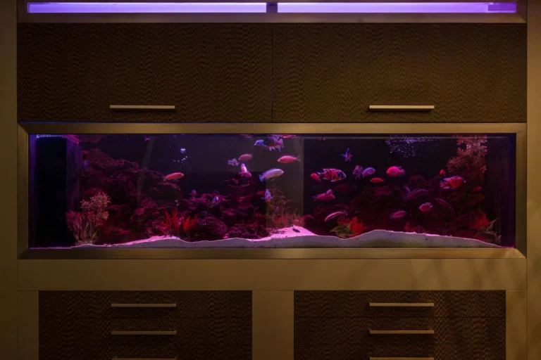 559m² House for Sale in Limassol District