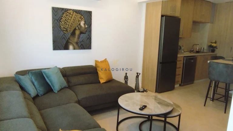 Cheap Apartments for Rent Larnaca up to 1000 euro