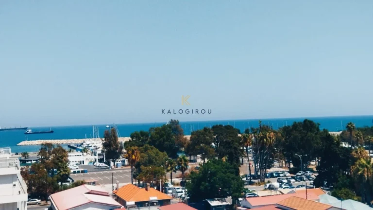 1 Bedroom Apartment for Rent in Larnaca District