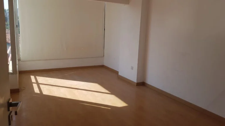 3 Bedroom Apartment for Rent in Limassol District