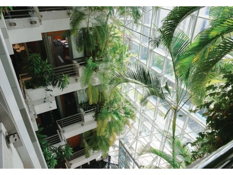 884m² Building for Sale in Limassol District