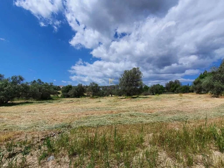 4,348m² Plot for Sale in Alethriko, Larnaca District