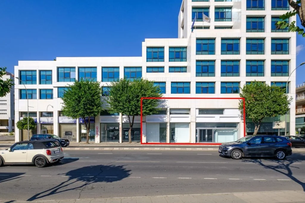 Commercial for Sale in Agioi Omologites, Nicosia District