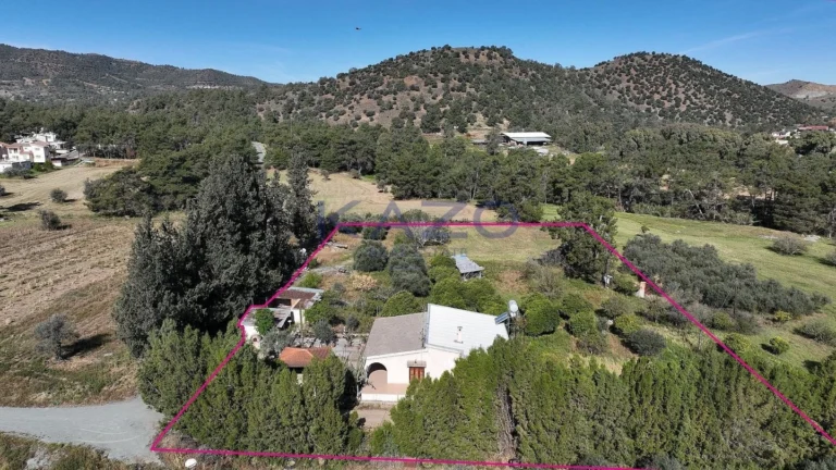 6,948m² Plot for Sale in Psevdas, Larnaca District