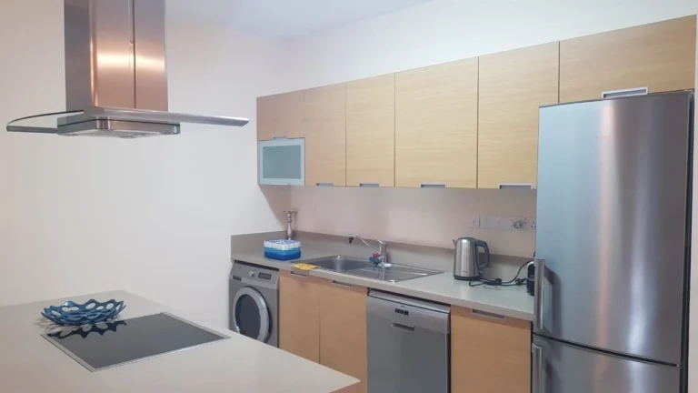 2 Bedroom Apartment for Rent in Limassol District