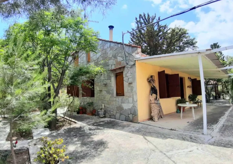 Cheap Houses and Villas for Sale Larnaca up to 500000 euro
