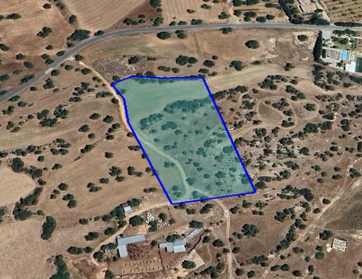 13,450m² Plot for Sale in Kouklia, Paphos District