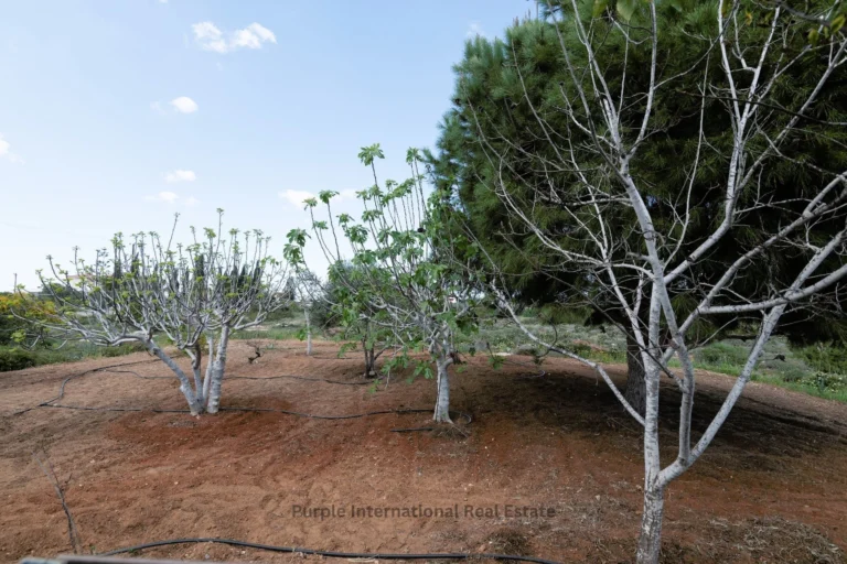 5 Bedroom House for Sale in Famagusta District