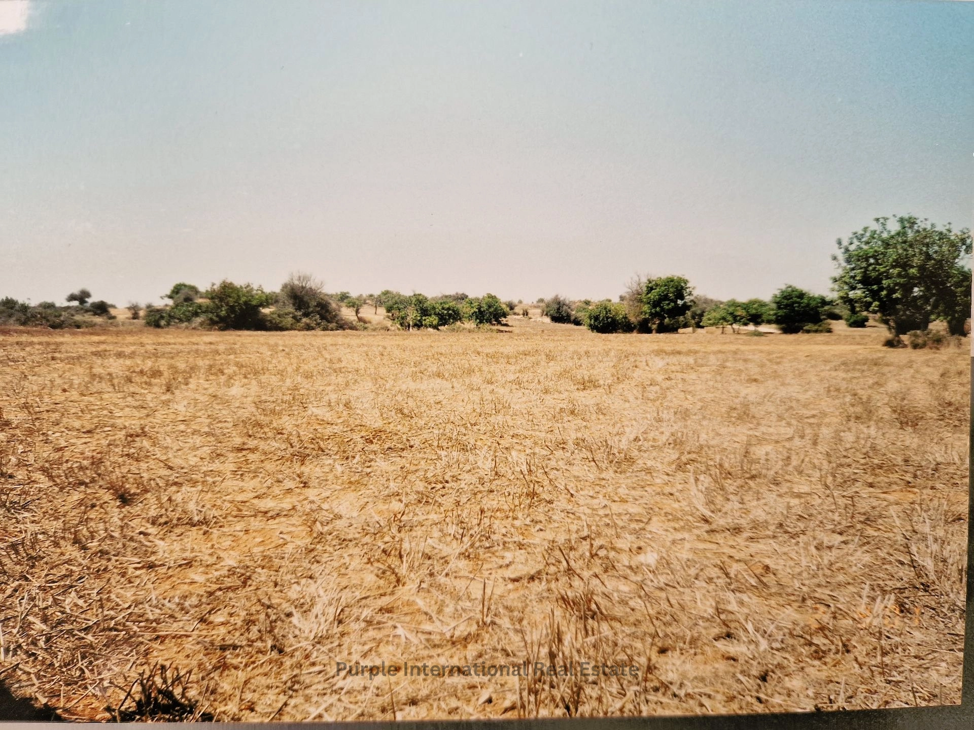 32,108m² Plot for Sale in Agios Theodoros, Larnaca District