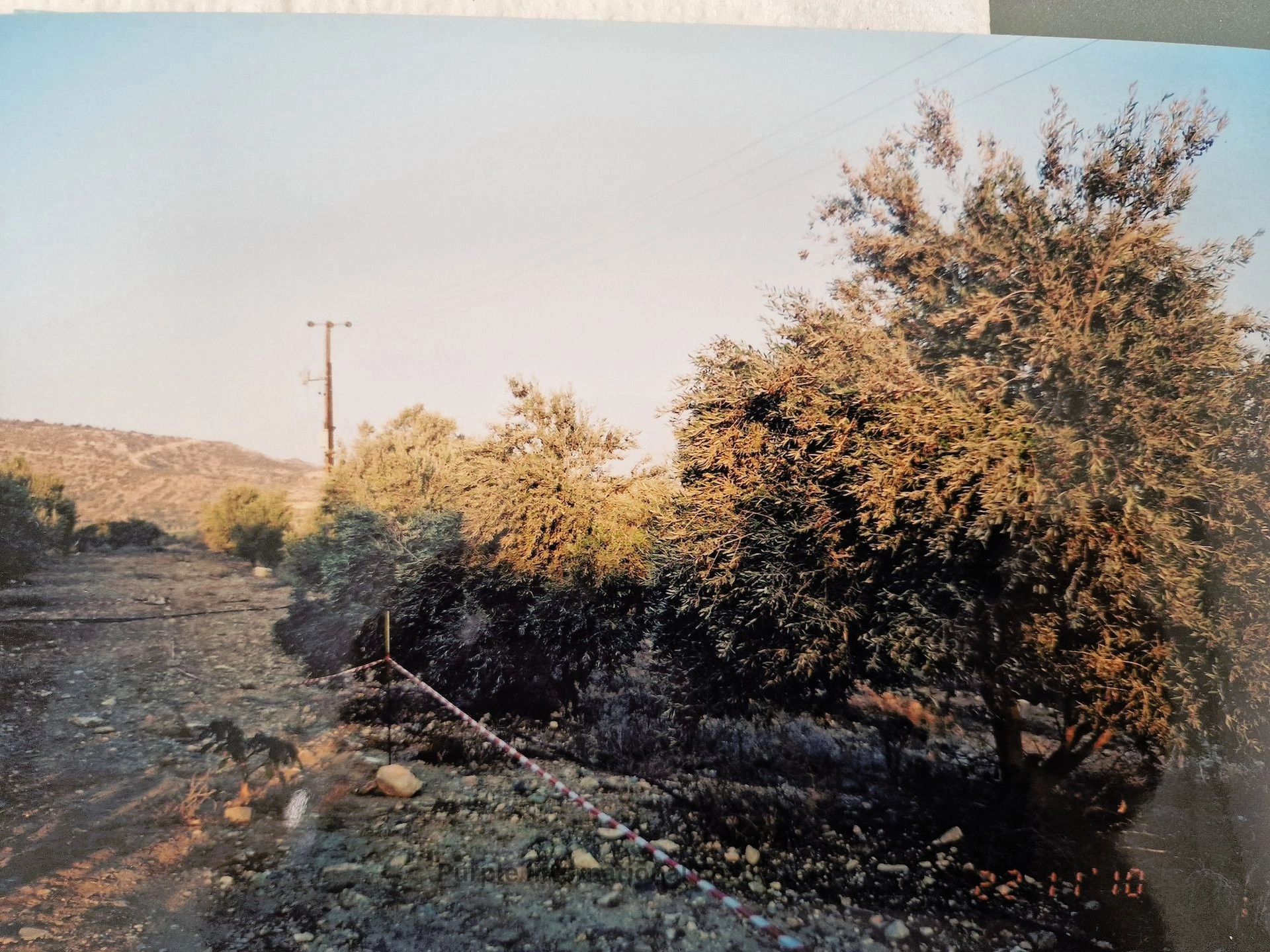 32,108m² Plot for Sale in Agios Theodoros, Larnaca District