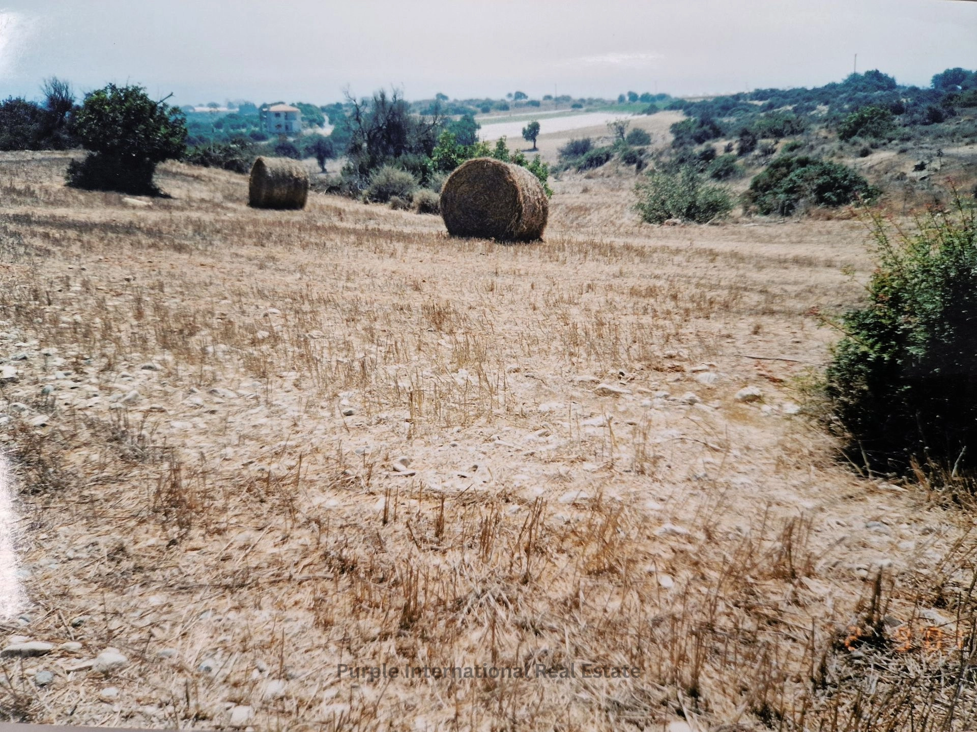 32,108m² Plot for Sale in Agios Theodoros, Larnaca District