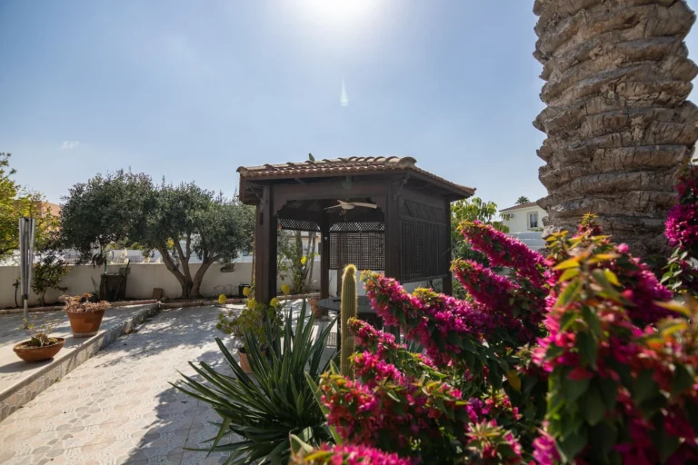 3 Bedroom House for Rent in Larnaca District