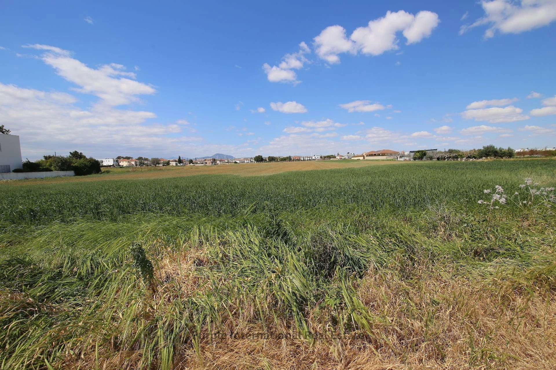 5,542m² Plot for Sale in Kiti, Larnaca District