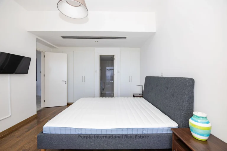 2 Bedroom Apartment for Rent in Larnaca District