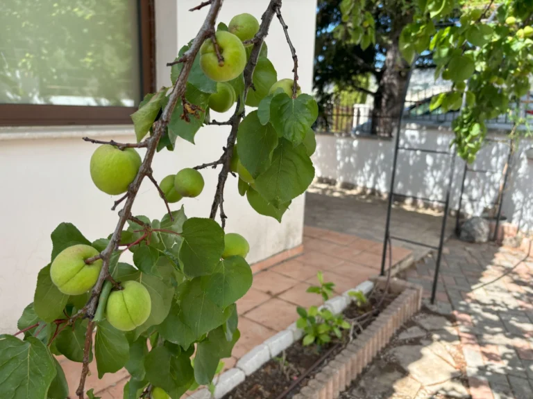 4 Bedroom House for Sale in Pera Pedi, Limassol District