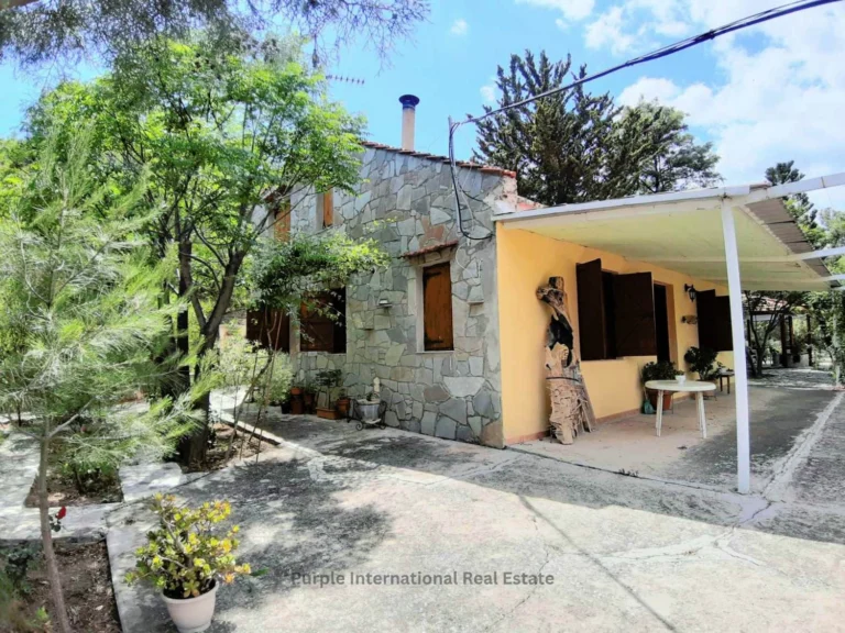 Cheap Houses and Villas for Sale Larnaca up to 500000 euro