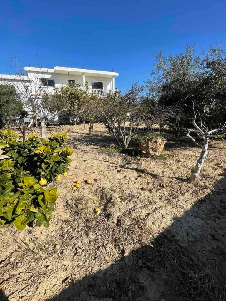 5 Bedroom House for Sale in Anafotida, Larnaca District