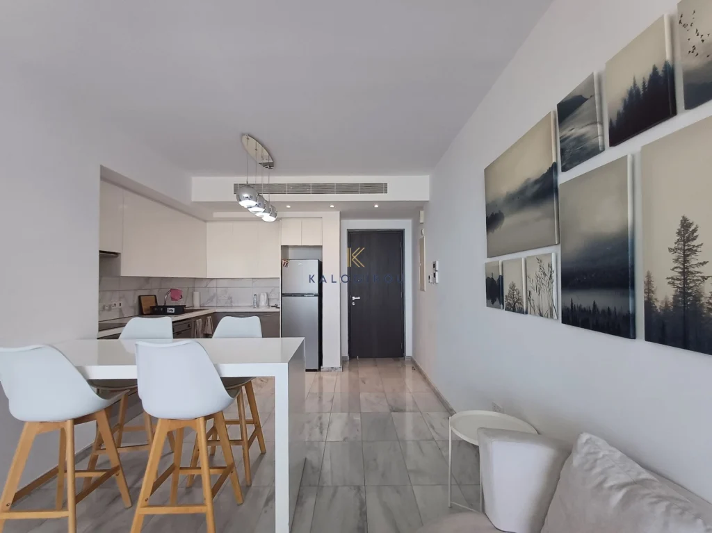 2 Bedroom Apartment for Rent in Larnaca District