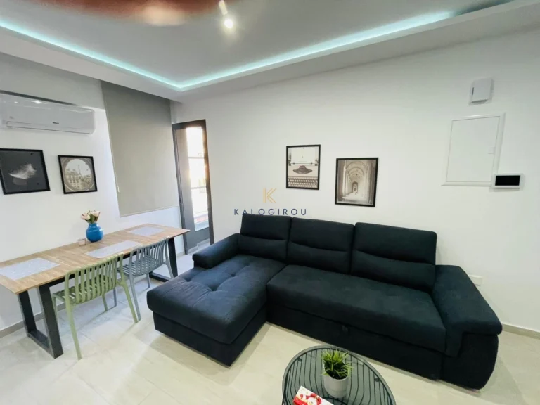 1 Bedroom Apartment for Rent in Larnaca District