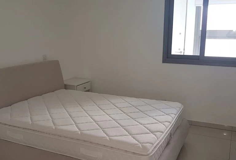 2 Bedroom Apartment for Rent in Engomi, Nicosia District