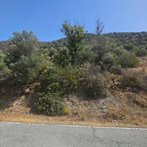 7,000m² Plot for Sale in Apsiou, Limassol District