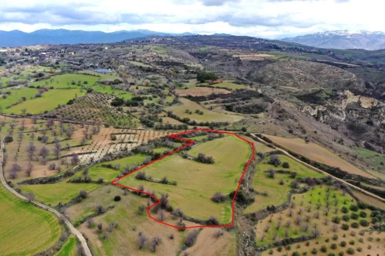 18,395m² Plot for Sale in Drymou, Paphos District