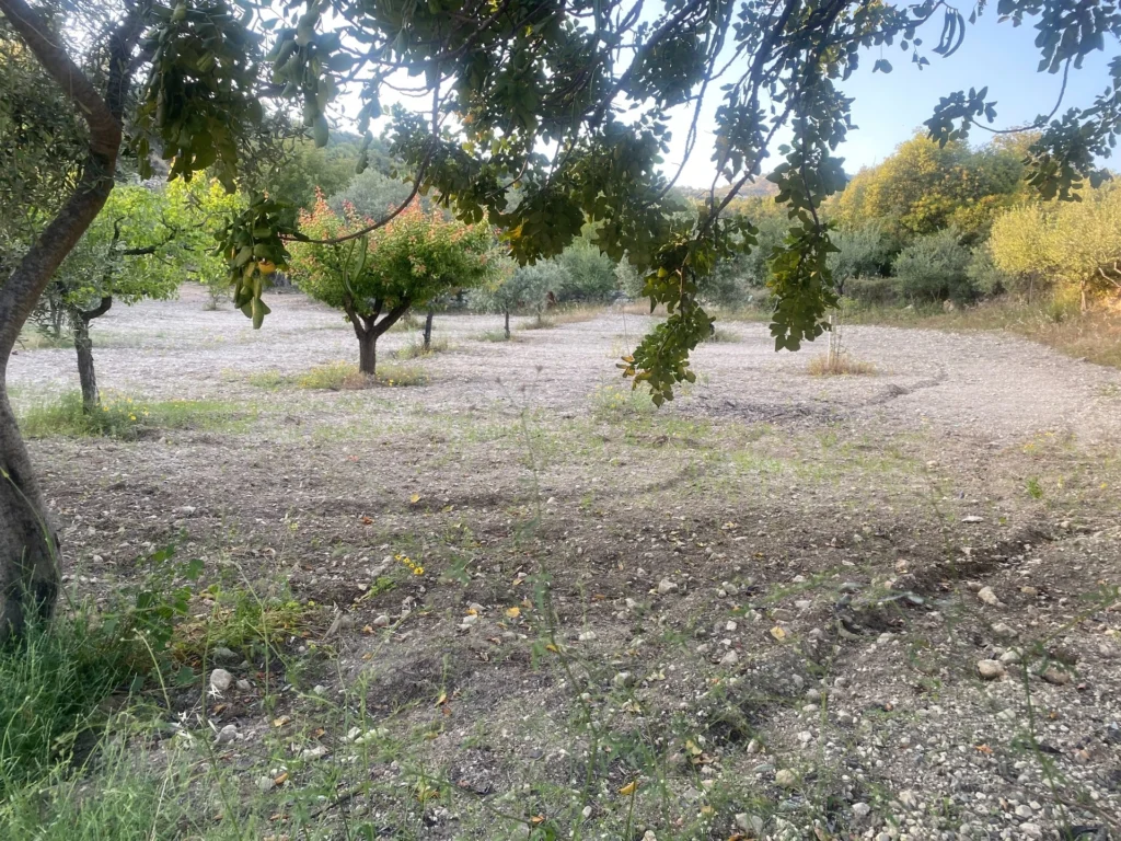 826m² Plot for Sale in Apesia, Limassol District