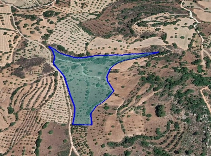 Paphos