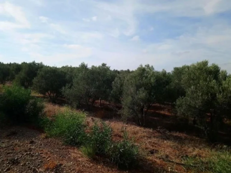 3,345m² Plot for Sale in Astromeritis, Nicosia District