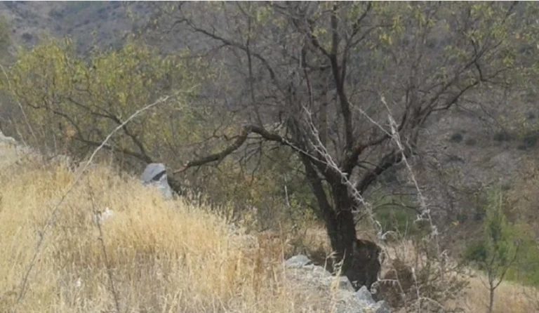 6,689m² Plot for Sale in Palaichori Oreinis, Nicosia District