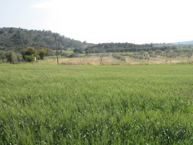 10,368m² Plot for Sale in Alethriko, Larnaca District