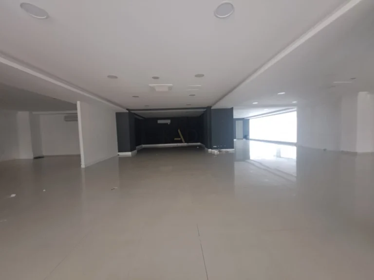 1200m² Building for Rent in Engomi, Nicosia District