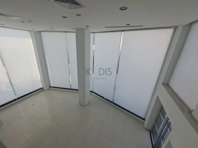 1200m² Building for Rent in Engomi, Nicosia District