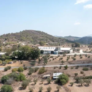 4250m² Commercial for Sale in Agia Varvara Lefkosias, Nicosia District