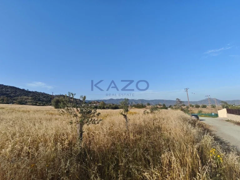 24,661m² Plot for Sale in Parekklisia, Limassol District