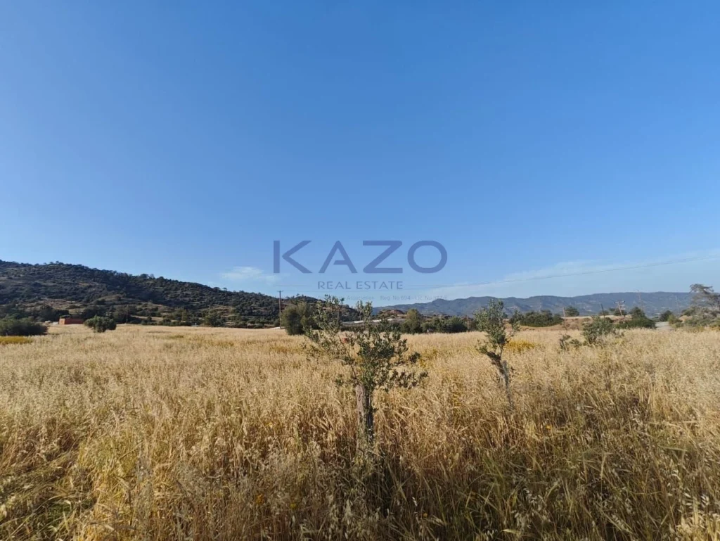 24,661m² Plot for Sale in Parekklisia, Limassol District
