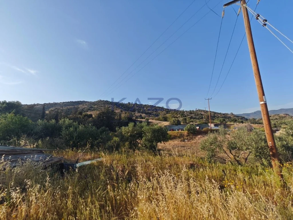 24,661m² Plot for Sale in Parekklisia, Limassol District