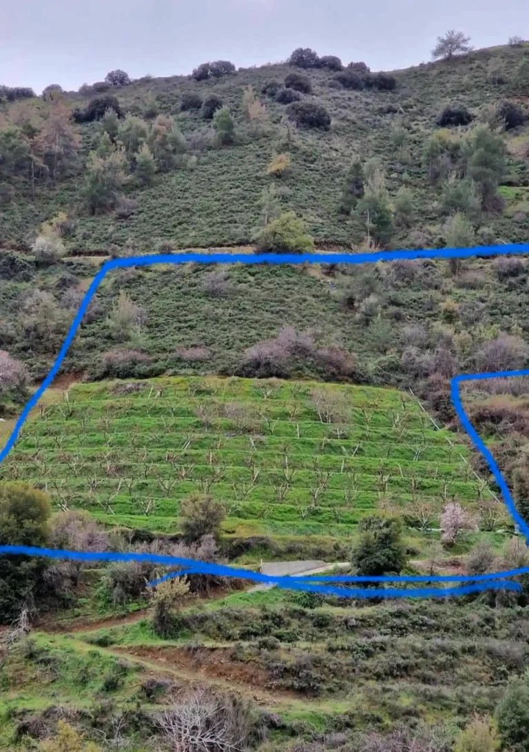 8,176m² Plot for Sale in Galata, Nicosia District