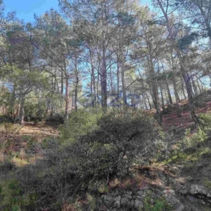 Участок площадью 21,690 XNUMX м² на продажу в Мониатис, район Лимассола