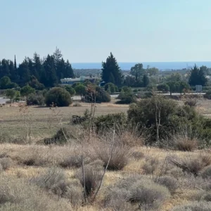 17,579m² Plot for Sale in Kalavasos, Larnaca District