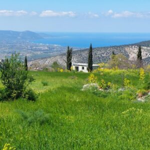 23,000m² Plot for Sale in Meladeia, Paphos District