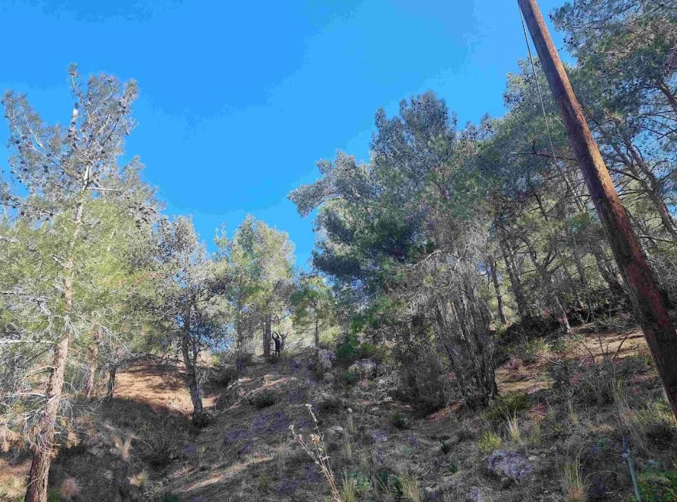 21,690m² Plot for Sale in Moniatis, Limassol District