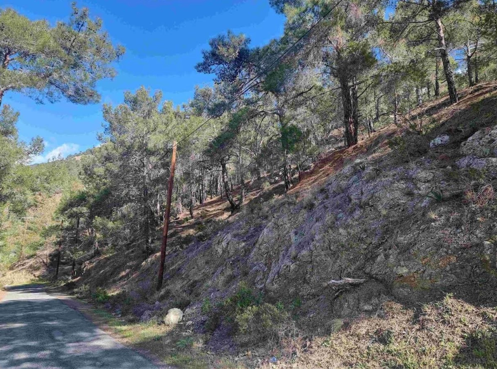 21,690m² Plot for Sale in Moniatis, Limassol District