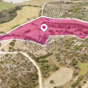 23,414m² Plot for Sale in Agios Theodoros, Larnaca District