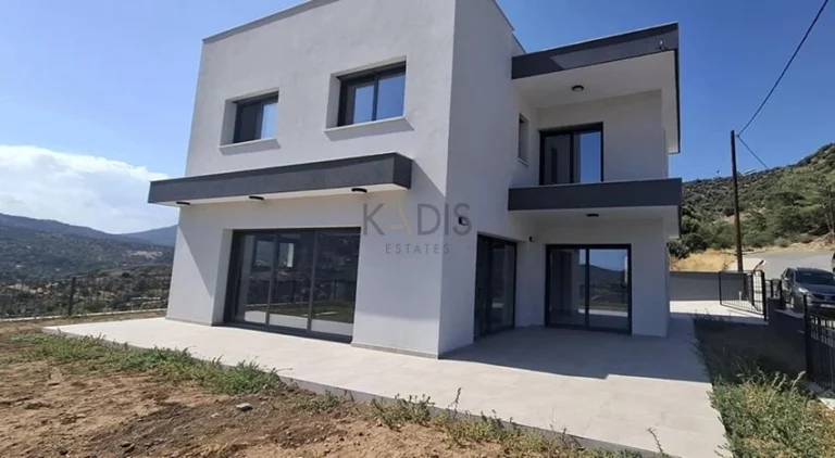 4 Bedroom House for Sale in Akrounta, Limassol District