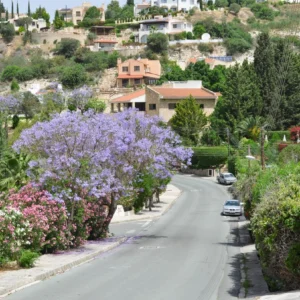 3 Bedroom House for Sale in Tala, Paphos District