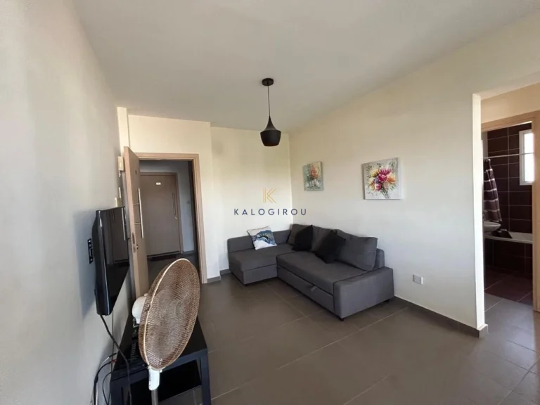 Cheap Apartments for Rent Larnaca