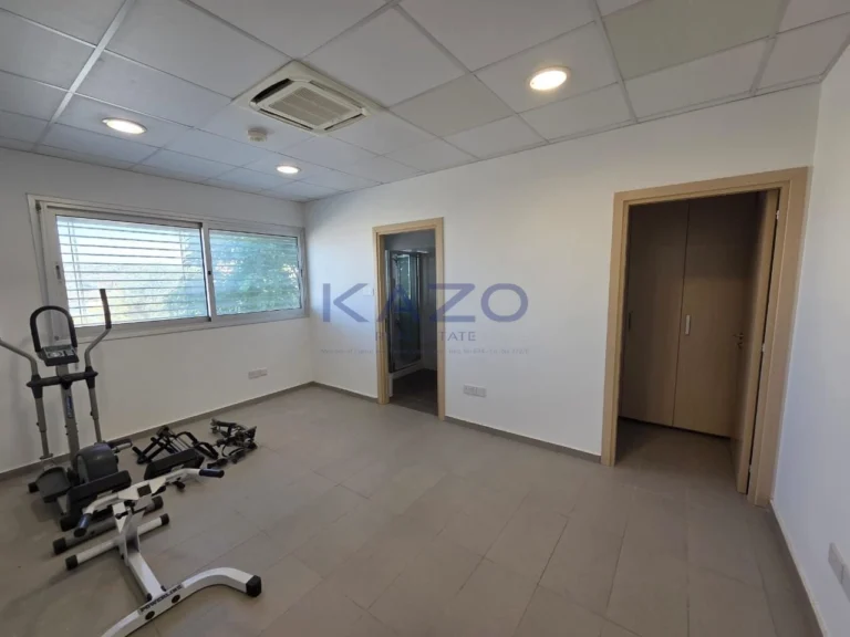 1000m² Commercial for Rent in Ypsonas, Limassol District