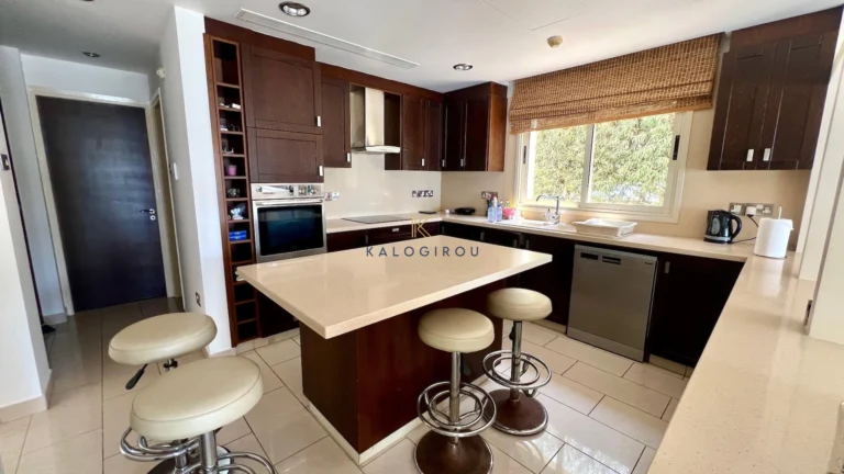 595m² House for Rent in Dhekelia, Larnaca District